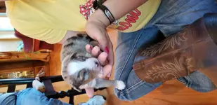 20190614_163658.webp