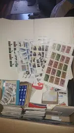 65077019_1044725509059745_726324101269946368_n.webp