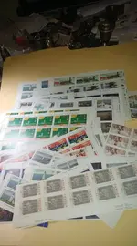 65205107_480478722698792_5194229385019785216_n.webp