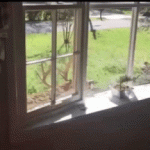 Q6YSvSGV_2019629041838.gif Q6YSvSGV_2019629041838.gif