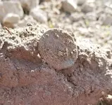 20190623_165209.webp