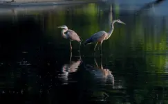 K1600_DSCN6253.webp