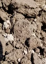 20190623_164708.webp