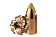 best-muzzleloader-bullet-reminton-premier-accutip.webp