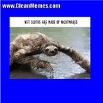 53sloths.webp 53sloths.webp