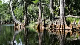 florida-everglades_adapt_945_1.webp