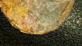 2019-05-29-18-37-47-847.webp