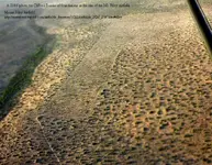 Mount Riley Intermediate Airfield 3.webp