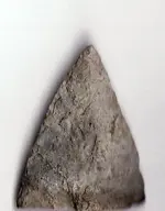 arrowhead 2.webp