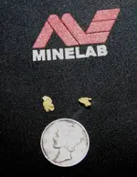 Nuggets 2gea.webp