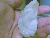 curved knife 006.webp