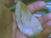 curved knife 009.webp