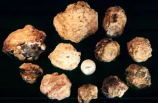 geode4.webp geode4.webp
