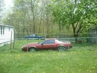 Picture 004.webp