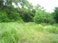 area behind the tree.webp area behind the tree.webp