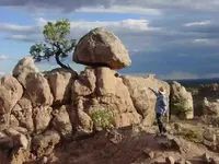 newmex.webp