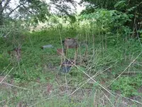 PICT0001.webp