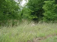 PICT0010.webp
