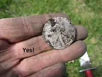 Finds 6-23-19 001.webp
