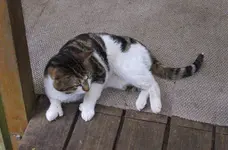 DSCF9338.webp