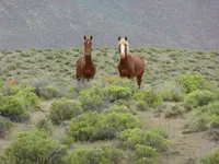 trip 060619 8.webp