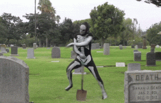 v5335QmJ_2019620003445.gif