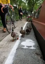 vmuinpKX_2019619164541.webp