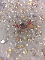 IMG_20190615_072913814.webp