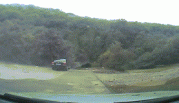 BTcD2Oq9_2019618002754.gif