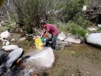 100_0380.webp