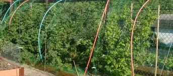 DSC02706 (600x263).webp