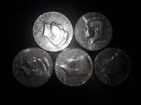 skunk halves 7-12.webp