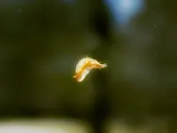 DSCN2491.webp