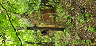 20190615_133039.webp 20190615_133039.webp
