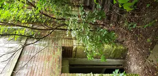 20190615_133057.webp 20190615_133057.webp