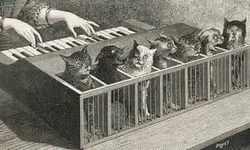 Hillbilly Prince Cat-Piano-009.webp