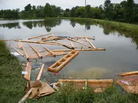 Their pond quarter mile away.webp