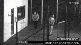 giphy.gif giphy.gif