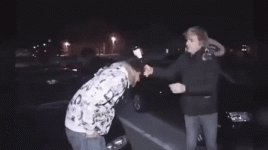 AggravatingTallIcelandgull-small.gif AggravatingTallIcelandgull-small.gif