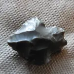 DSCN9725.webp