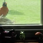 DSCN9740.webp