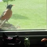 DSCN9741.webp