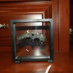 DSCN9742.webp