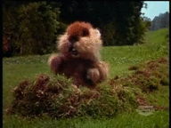c92e832355e198f093b718fc4c6a6ea4.gif