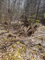 IMG_20190508_121711.webp