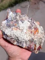20190520_083846.webp