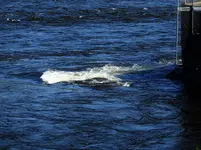 K1600_DSCN4625.webp