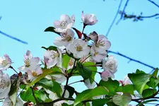 K1600_DSCN4604.webp