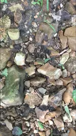 2019.06.22 - in situ.webp