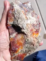20190520_083440.webp